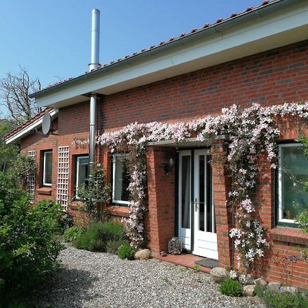 Ferienhaus Extrazeit_Urlaub Hasselberg  エクステリア 写真