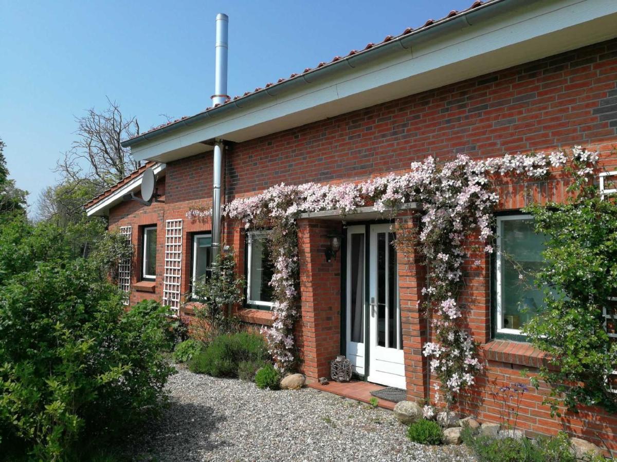 Ferienhaus Extrazeit_Urlaub Hasselberg  エクステリア 写真